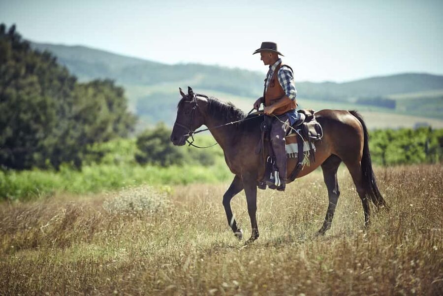 Agadir: Forest and Sand Dunes Guided Horse Riding - Choosing a horse and settling into the saddle