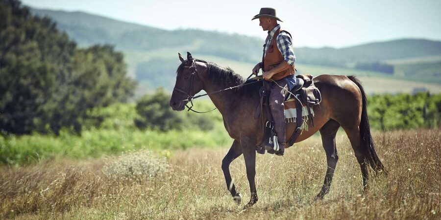 Agadir: Forest and Sand Dunes Guided Horse Riding - Along the river and out toward the sand dunes