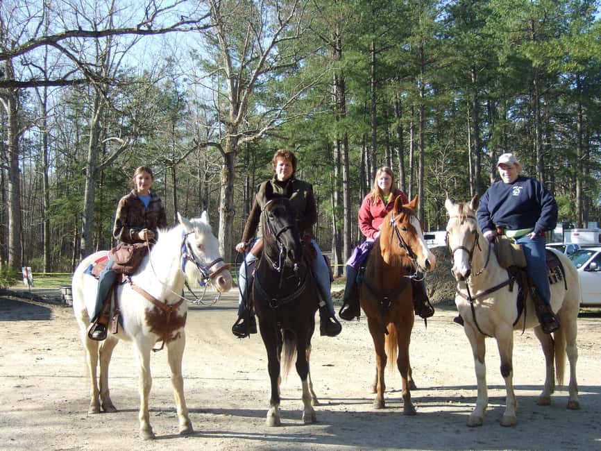 Agadir: Forest and Sand Dunes Guided Horse Riding - What the scenery is really like
