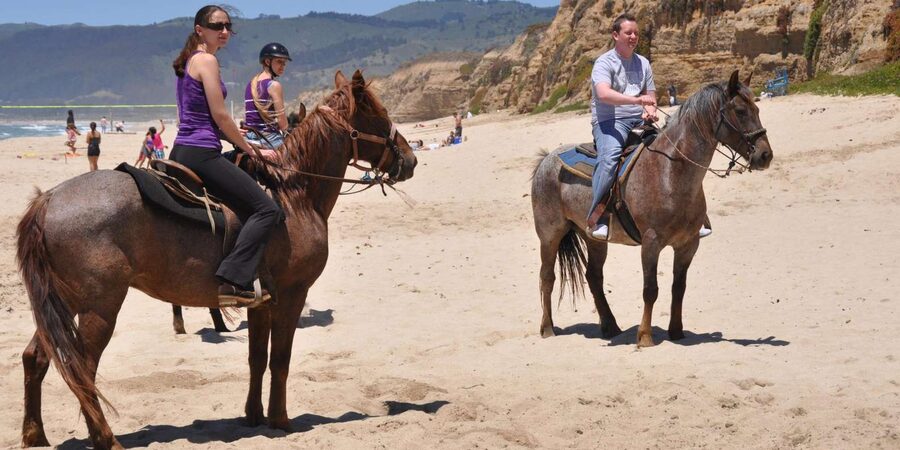 Agadir: Forest and Sand Dunes Guided Horse Riding - The guides make the biggest difference