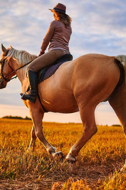 Agadir: Forest and Sand Dunes Guided Horse Riding - Tea, conversation, and the return to Agadir