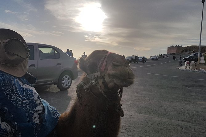 Agadir Guided City Tour Including Hotel pickup - Kasbah Oufella and the story of Agadir’s earthquake