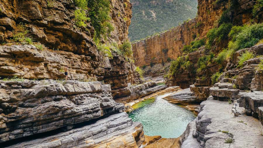 Agadir: Guided Excursion to Paradise Valley - Key points to know before you go