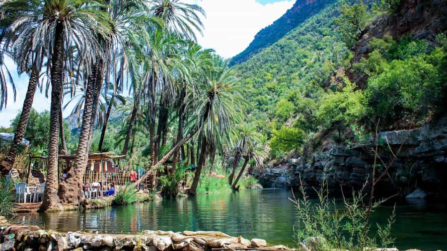 Agadir: Guided Excursion to Paradise Valley - First steps into Paradise Valley