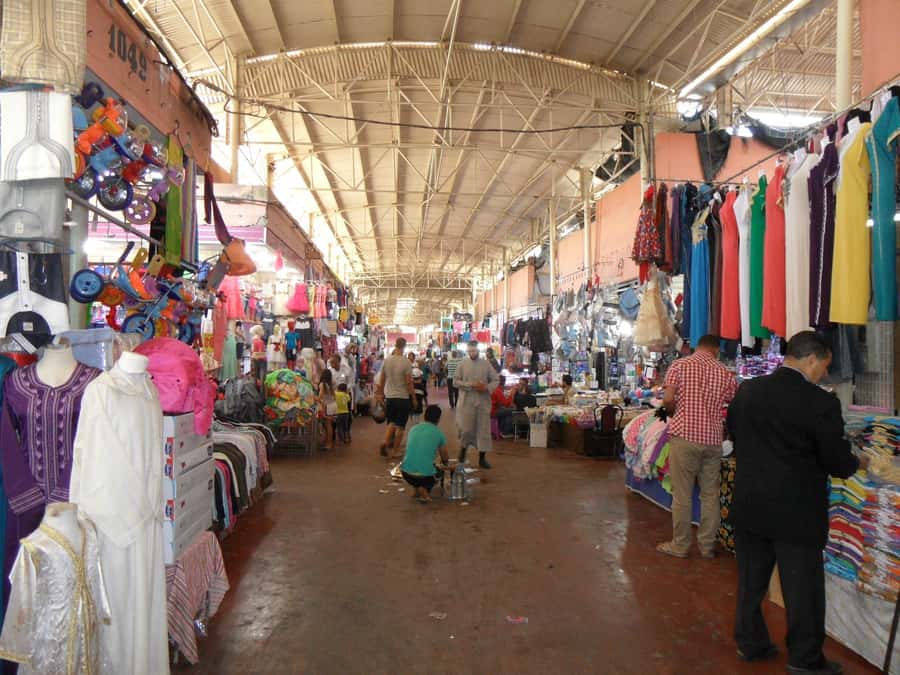 Agadir: Half-Day Guided Tour - A quick look at Agadir Medina