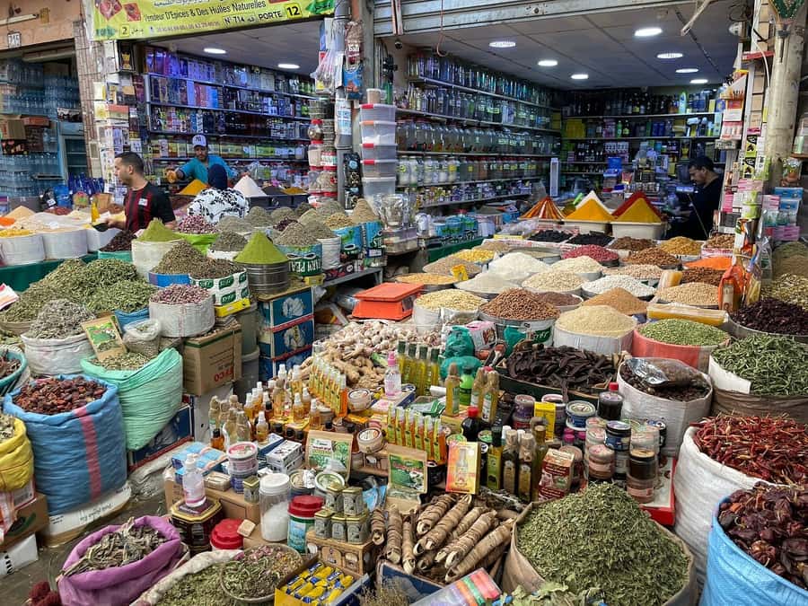 Agadir: Half-Day Guided Tour - Mohamed V Mosque and Agadir’s residential streets