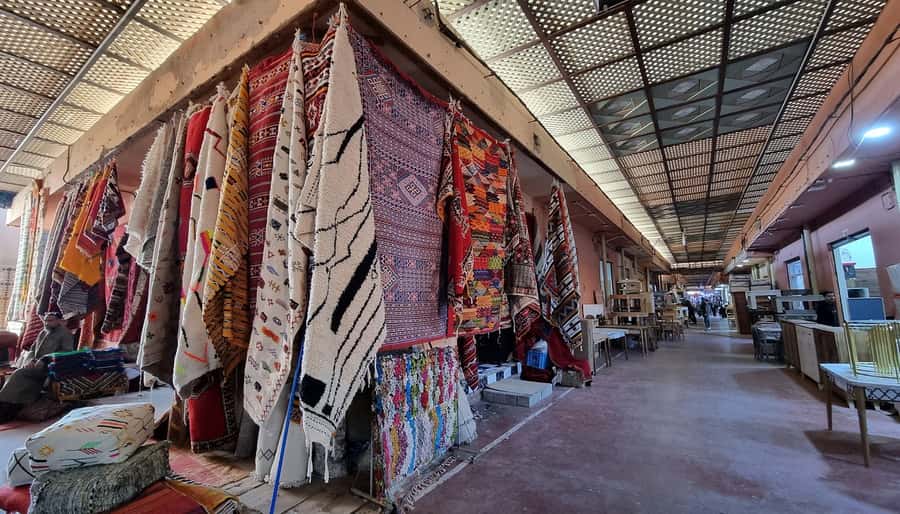 Agadir: Half-Day Guided Tour - The guide can shape the whole experience