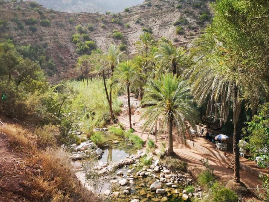 Agadir :Half day Paradise Valley & Atlas Mountains Tour - Timing, pickup, and the return drive