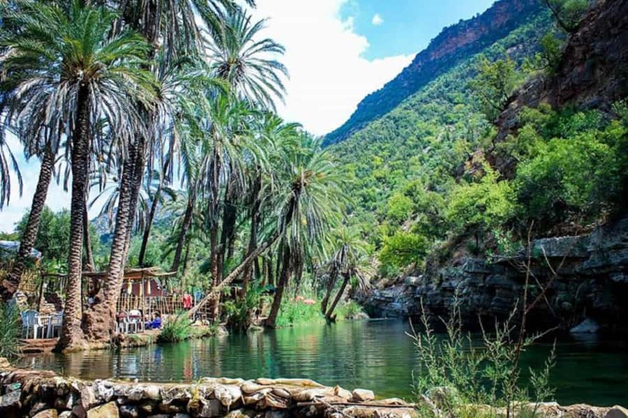 Agadir :Half day Paradise Valley & Atlas Mountains Tour - Languages and guiding style