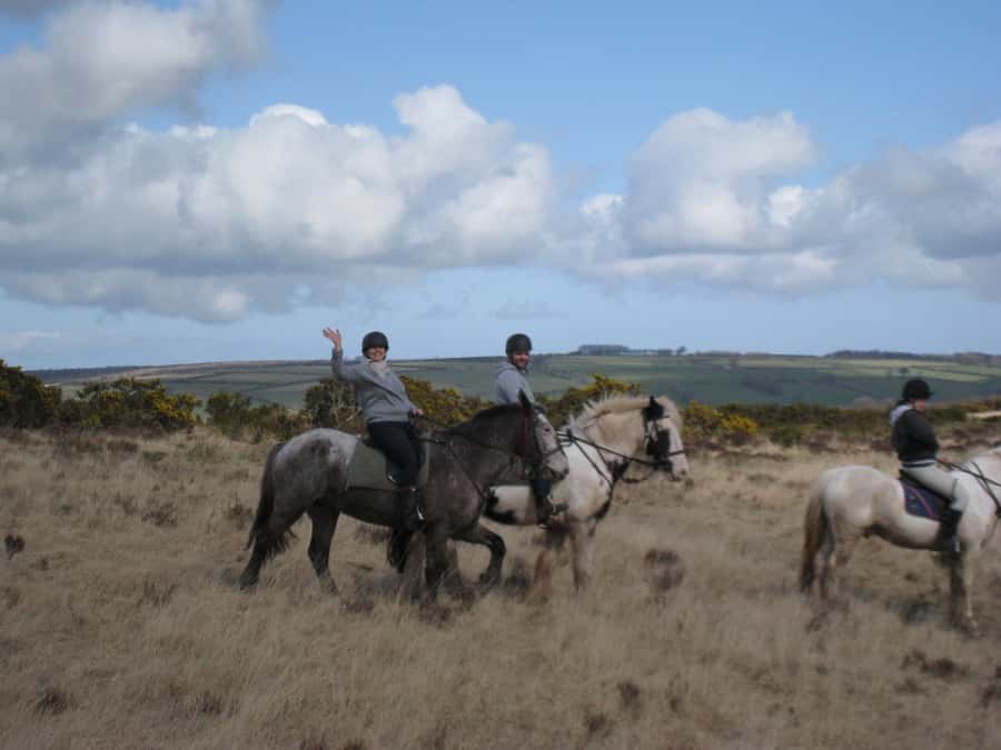 Agadir Horse Riding visite the flamingo river with tea drink - Dunes, eucalyptus trees, and countryside