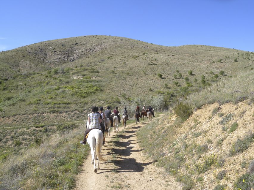 Agadir Horse Riding visite the flamingo river with tea drink - Booking details worth knowing
