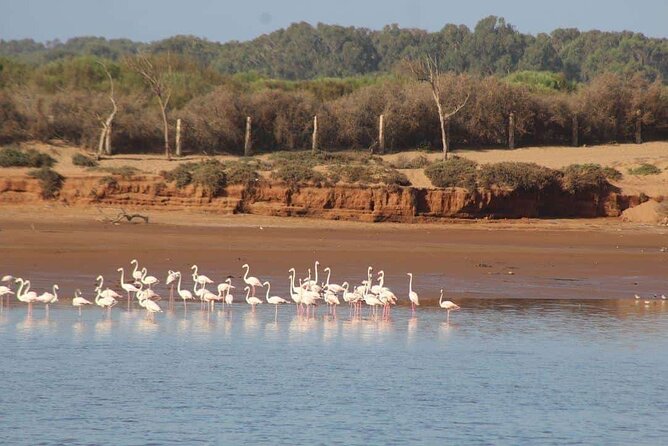 Agadir Jeep Safari Sahara Desert 4x4 Day Tour with Lunch - Sidi-Bibi pottery and the working side of Morocco