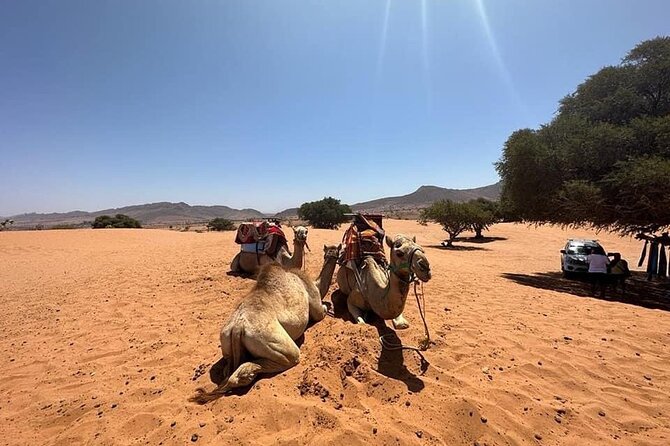 Agadir Jeep Safari Sahara Desert 4x4 Day Tour with Lunch - Rasmouka lunch with a Berber family