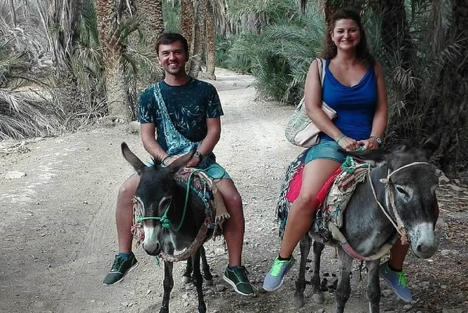 Agadir Morocco: Day Trip To Taroudant & Tiout Oasis with Lunch - From Agadir to the Souss Valley