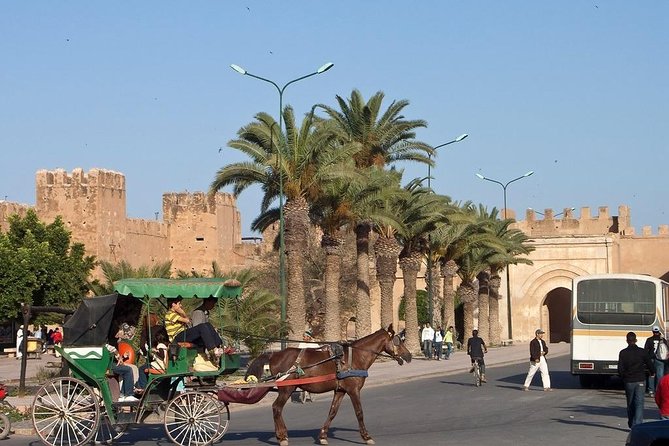 Agadir Morocco: Day Trip To Taroudant & Tiout Oasis with Lunch - Comfort, timing, and the minibus question