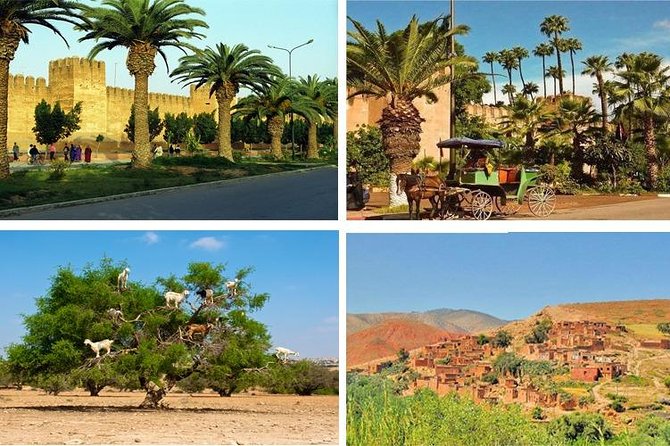 Agadir Morocco: Day Trip To Taroudant & Tiout Oasis with Lunch - Lunch in Tiout village