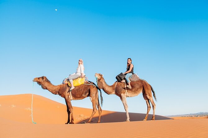 Agadir or taghazout : 4×4 Jeep Sahara Desert Trip with Lunch - Berber lunch at Arbaa Rasmouka