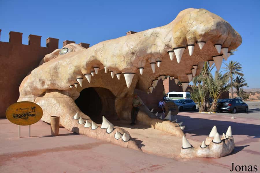 Agadir or Taghazout: Goat on Trees and Crocoparc with Pickup - Drivers who make the road time useful