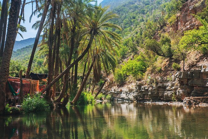 Agadir or Taghazout: Paradise Valley Atlas Mountain Swimming Trip - Key points before you book