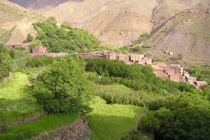 Agadir or Taghazout: Paradise Valley Atlas Mountain Swimming Trip - Leaving Agadir at 8:40 am