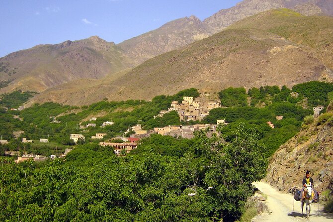 Agadir or Taghazout: Paradise Valley Atlas Mountain Swimming Trip - Who will get the best value