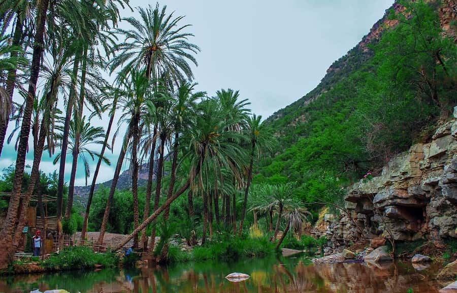 Agadir or Taghazout: Paradise Valley Atlas Mountain Trip - Key points at a glance