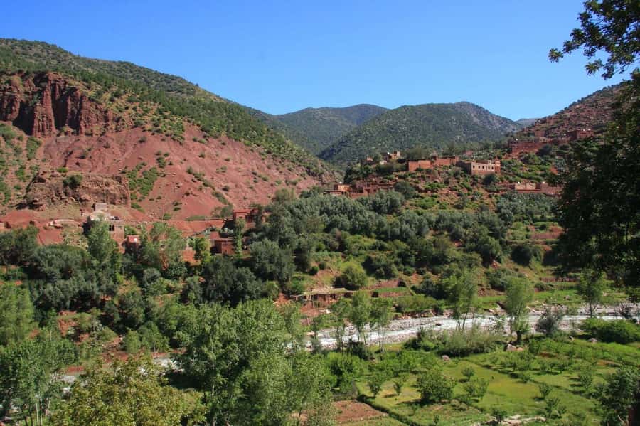 Agadir or Taghazout: Paradise Valley Atlas Mountain Trip - Pools, rock walls, and cold water
