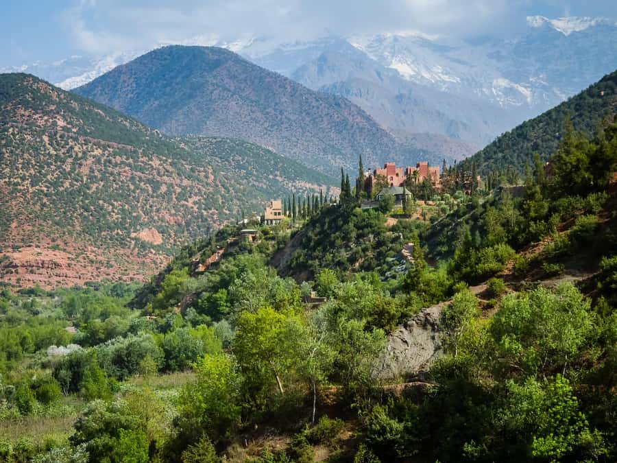 Agadir or Taghazout: Paradise Valley Atlas Mountain Trip - Who should book this outing?