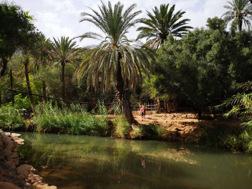 Agadir or Taghazout: Paradise Valley Atlas Mountains Tour - Swimming, rock jumps, and the changing water