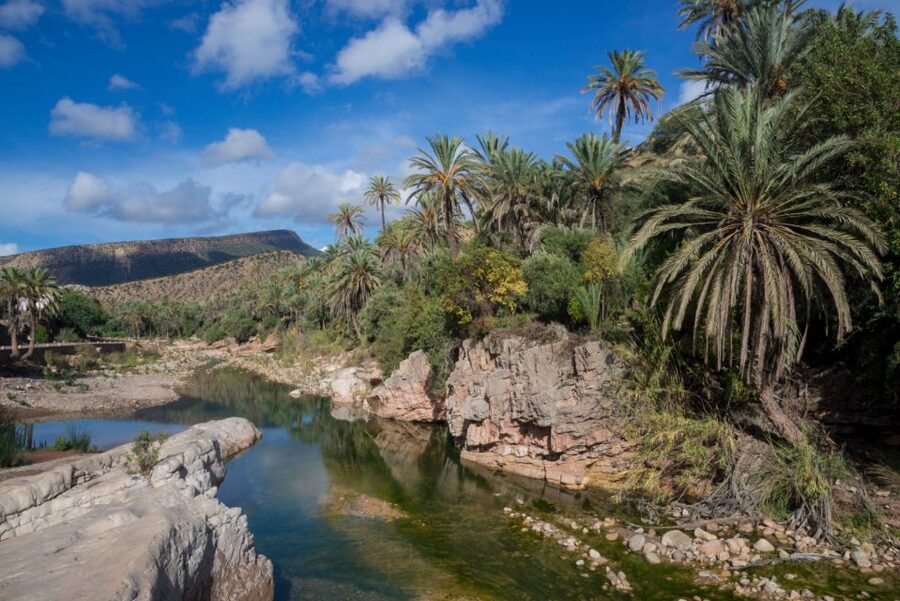 Agadir or Taghazout: Paradise Valley Atlas Mountains Tour - What the lunch option is worth