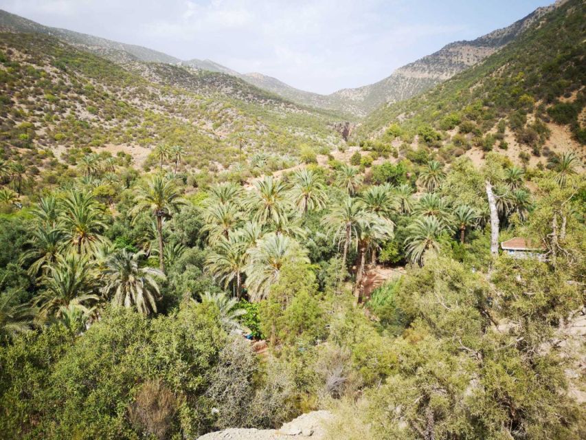 Agadir or Taghazout: Paradise Valley Atlas Mountains Tour - How the guides shape the experience