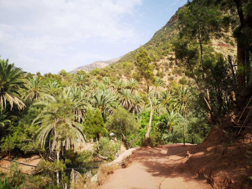Agadir or Taghazout: Paradise Valley Atlas Mountains Tour - Timing, crowds, and weather
