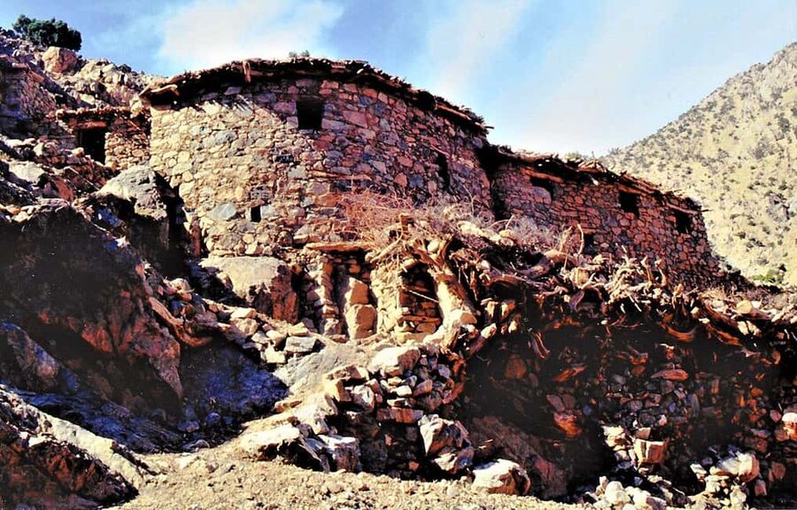 Agadir or Taghazout: Paradise Valley Atlas Mountains Tour - The botanical garden and argan oil stop