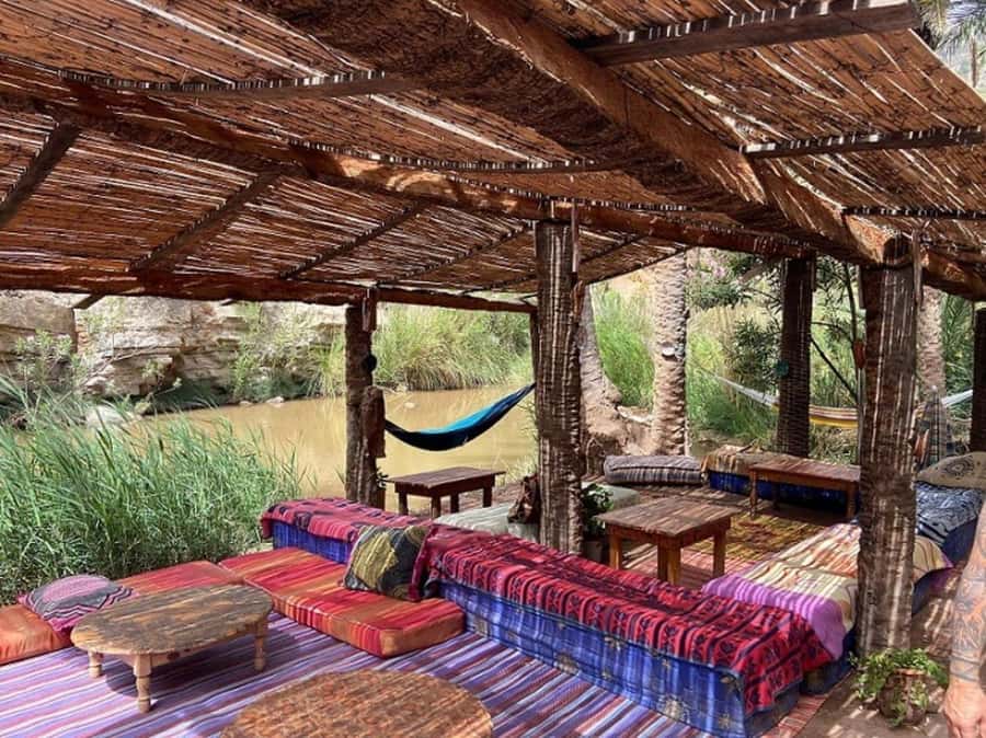 Agadir or Taghazout: Paradise Valley Atlas Mountains Trip - The botanic garden and argan cooperative