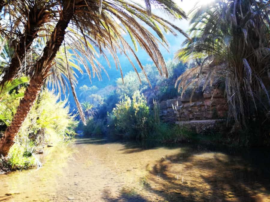 Agadir or Taghazout: Paradise Valley Atlas Mountains Trip - Walking into the palms and stone formations