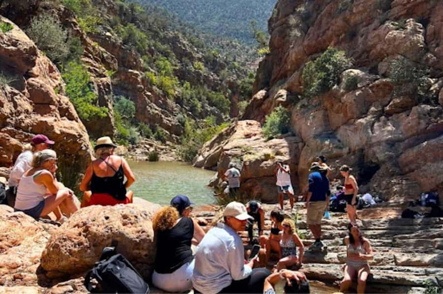 Agadir or Taghazout: Paradise Valley & Atlas Mountains Trip - The botanical garden and local products