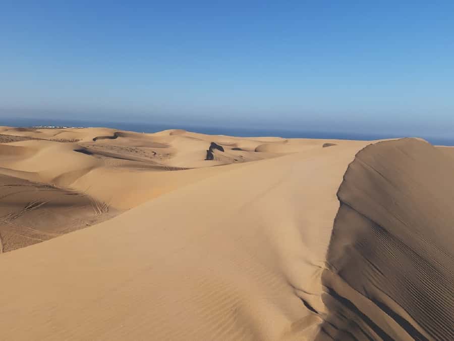 Agadir: Paradise Valley & Desert Sand Dunes with Camel Ride - What $96 includes, and who gets good value