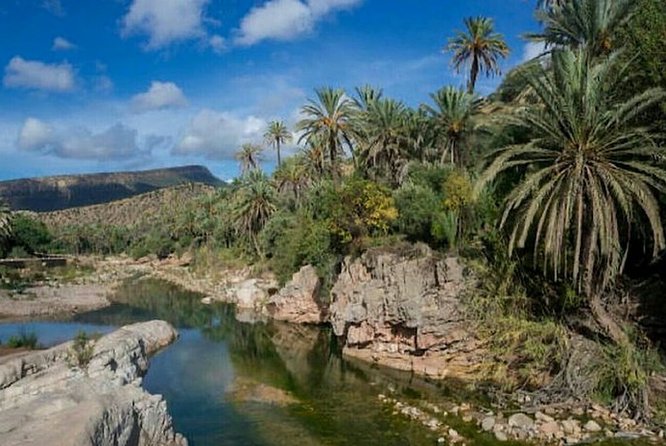 Agadir Paradise Valley Guided Tour Swimming & Breakfast - Alma’s argan cooperative and garden breakfast