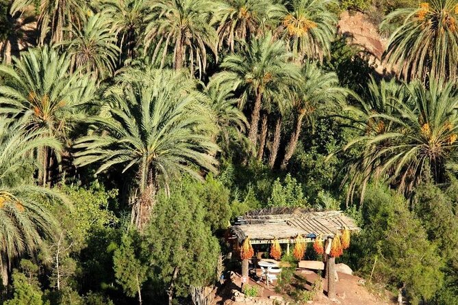 Agadir Quad Biking on the Beach & Sandboarding in the Desert - The scenery is part of the value