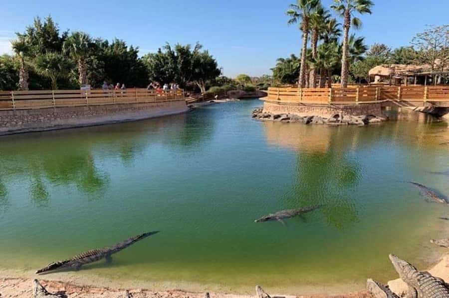 Agadir: Quad Safari with Crocoparc Optional - Crocoparc: crocodiles, gardens, and a possible zip line