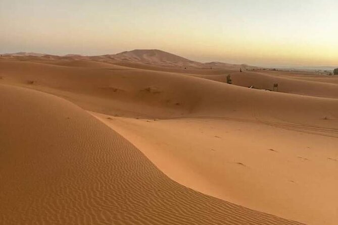 Agadir Sahara Day Trip with Lunch - Lunch, drinks, and the real value of $38.33