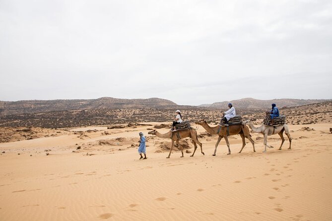 Agadir Sand Dunes and Camel Ride in Tifnit with Lunch - Berber villages and local culture