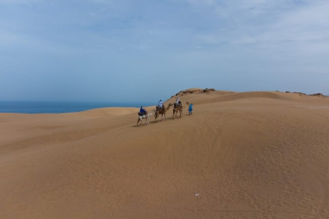 Agadir Sand Dunes and Camel Ride in Tifnit with Lunch - Guides, vehicles, and group size