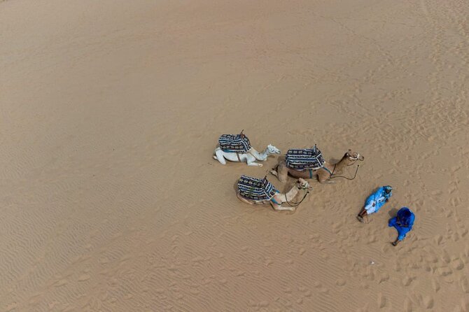 Agadir Sand Dunes and Camel Ride in Tifnit with Lunch - Who will enjoy this seven-hour outing