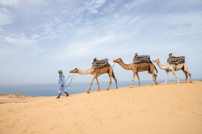 Agadir Sand Dunes and Camel Ride in Tifnit with Lunch - Lunch at a Berber restaurant