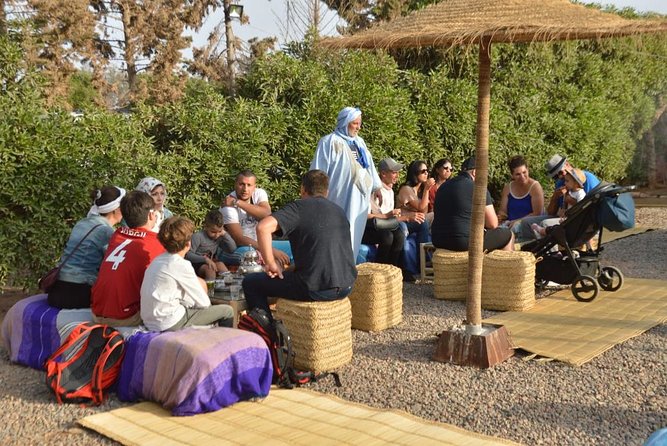 Agadir Sunset Camel Ride with Delicious Couscous & Barbecue - Choosing a camel or horse