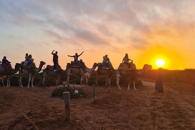 Agadir Sunset Camel Ride with Moroccan Barbecue & Hotel Transfers - Key points to know before booking