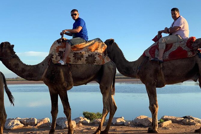 Agadir Sunset Camel Ride with Moroccan Barbecue & Hotel Transfers - A sunset ride with more than a camel photo