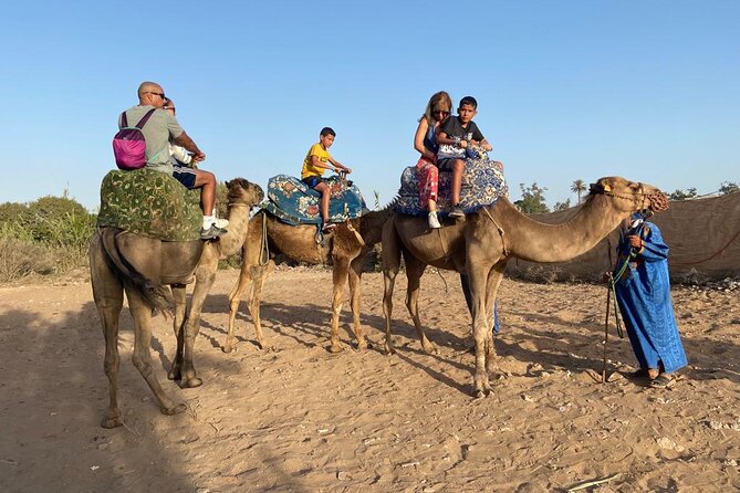 Agadir Sunset Camel Ride with Moroccan Barbecue & Hotel Transfers - Ninety minutes near the Souss River