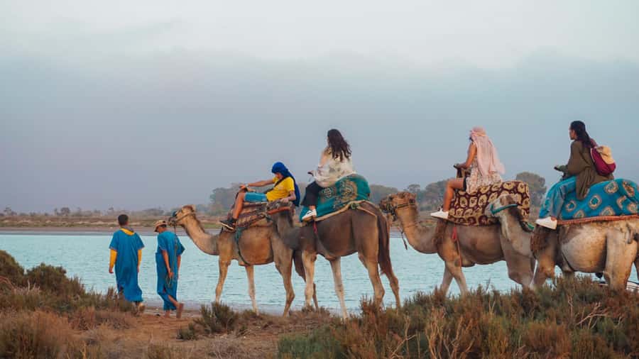 Agadir/Taghazout: Camel Ride with Tea Drink and Transfers - Key points to know before you book